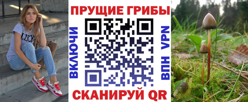 Псилоцибиновые грибы Psilocybine cubensis  что такое   Архангельск 